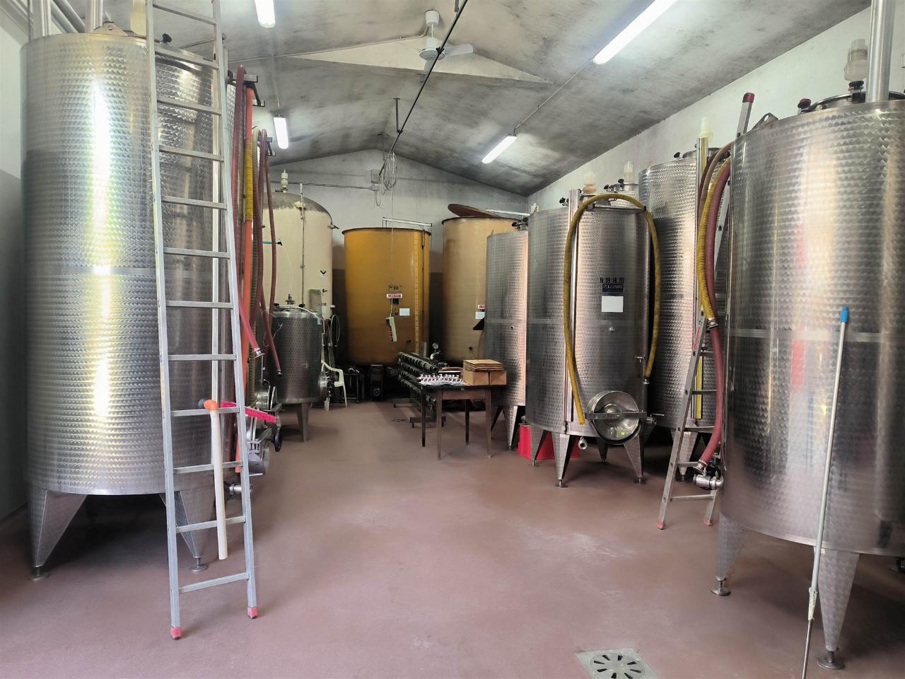 immagine annuncio 8 di 14