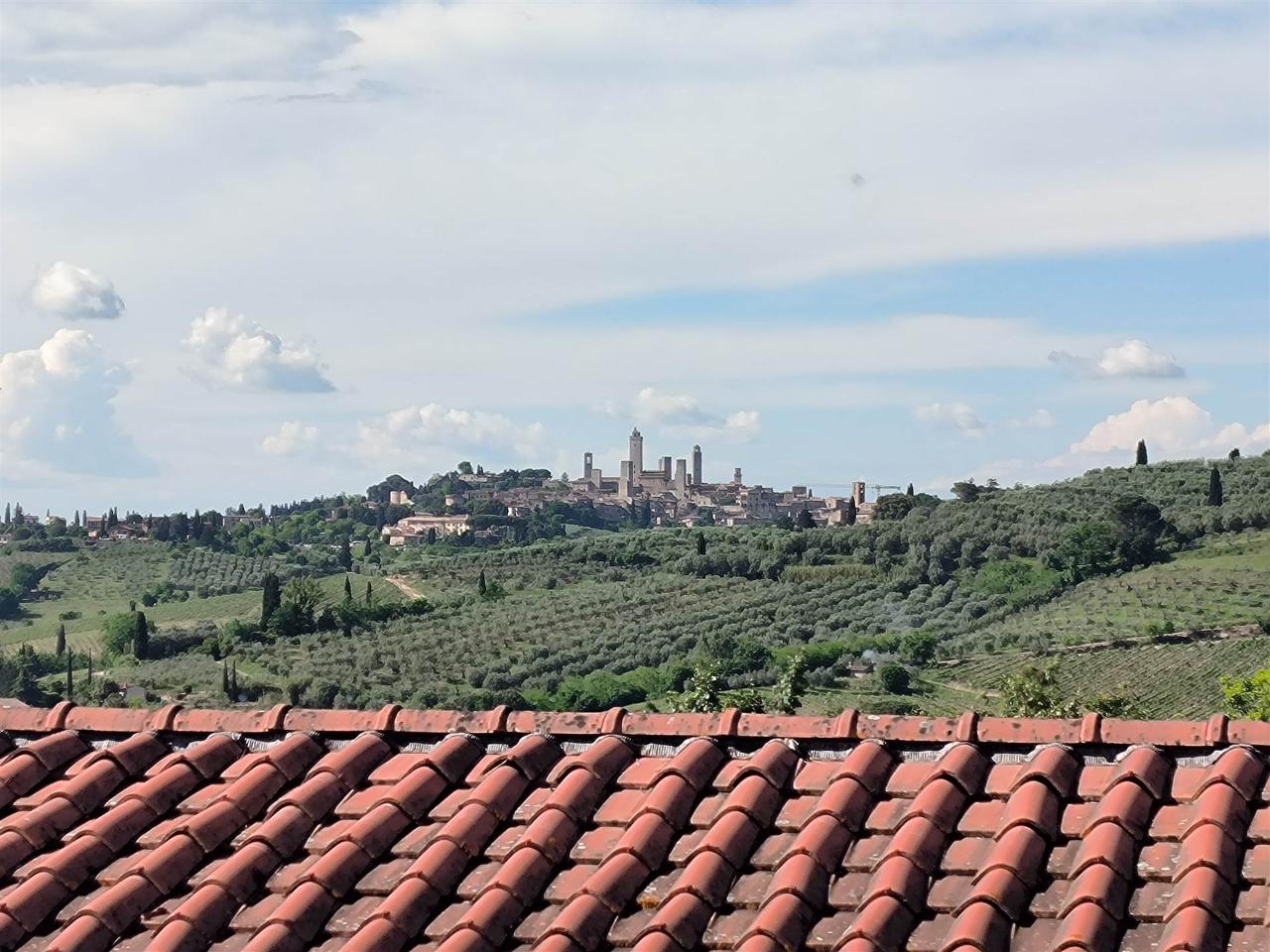 immagine annuncio 11 di 14