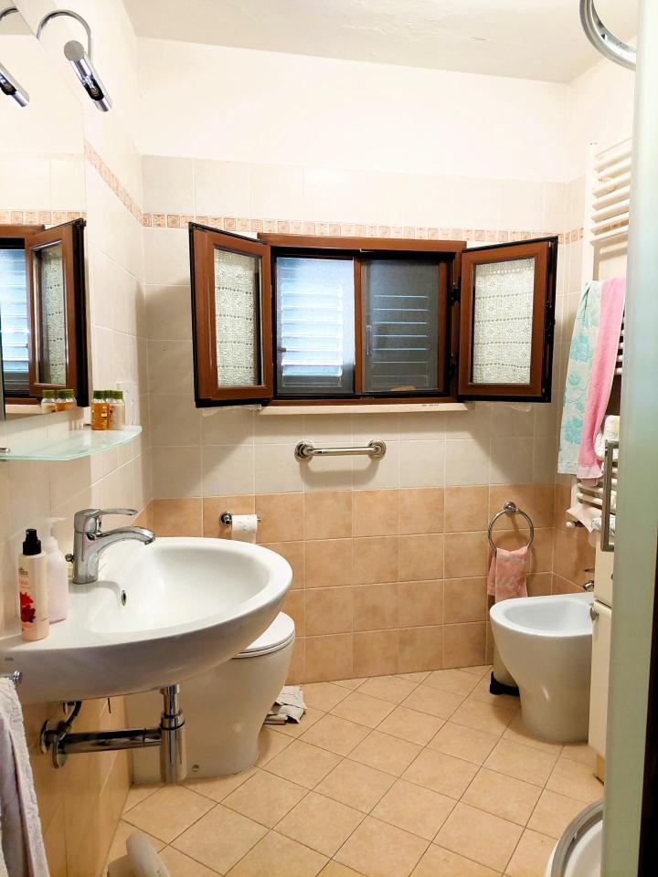 immagine annuncio 6 di 12