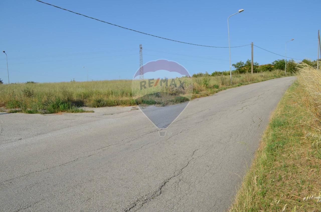 immagine annuncio 8 di 12