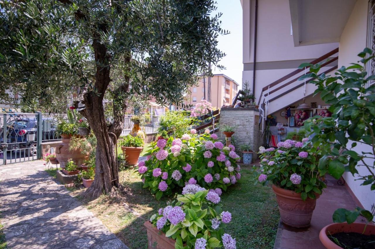 immagine annuncio 3 di 12