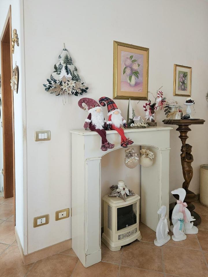 immagine annuncio 4 di 14