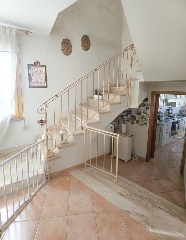 immagine annuncio 6 di 14