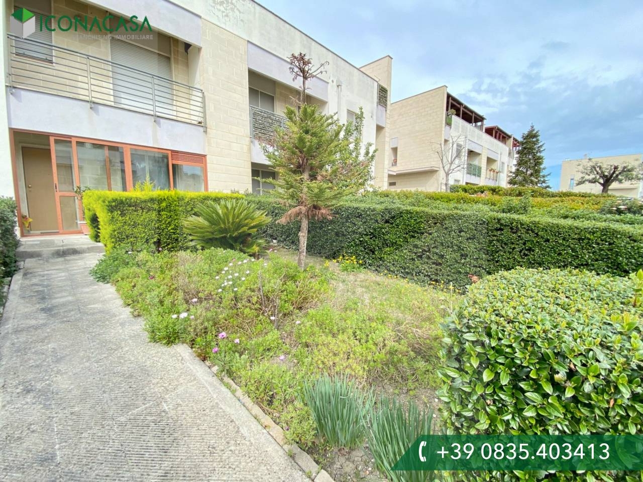 Foto 1