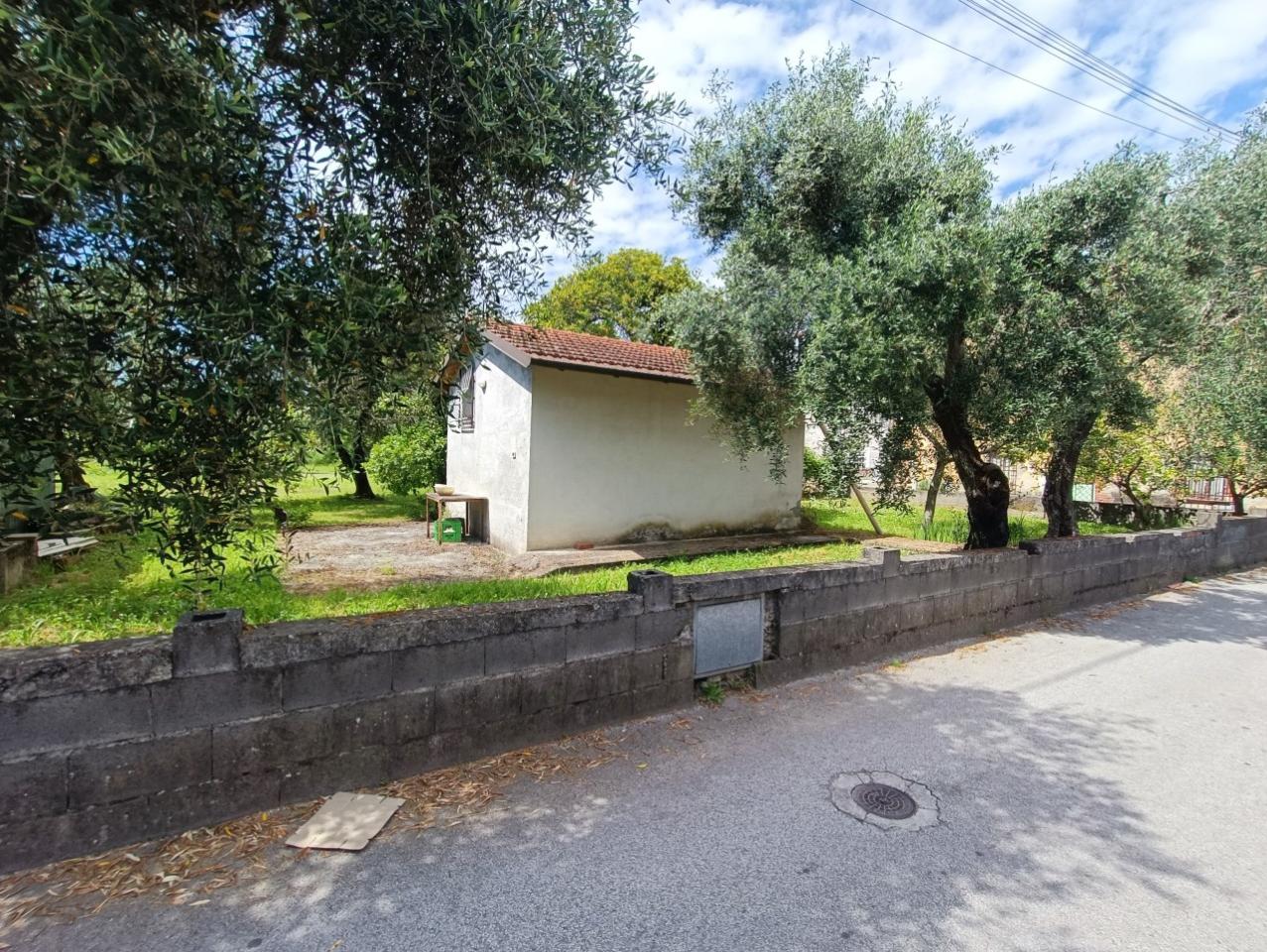 immagine annuncio 1 di 8