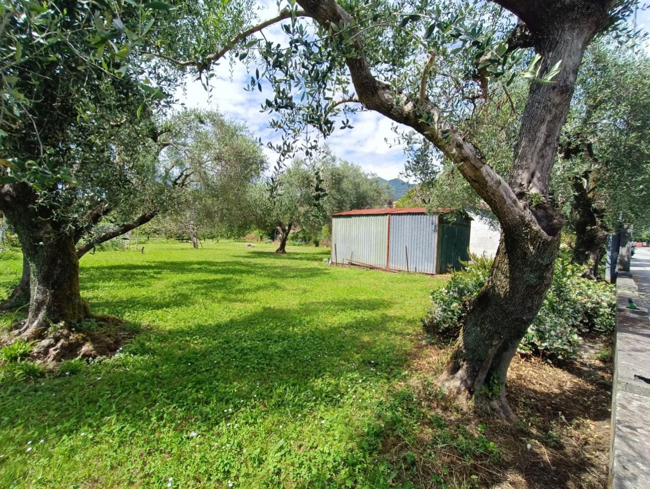 immagine annuncio 3 di 8