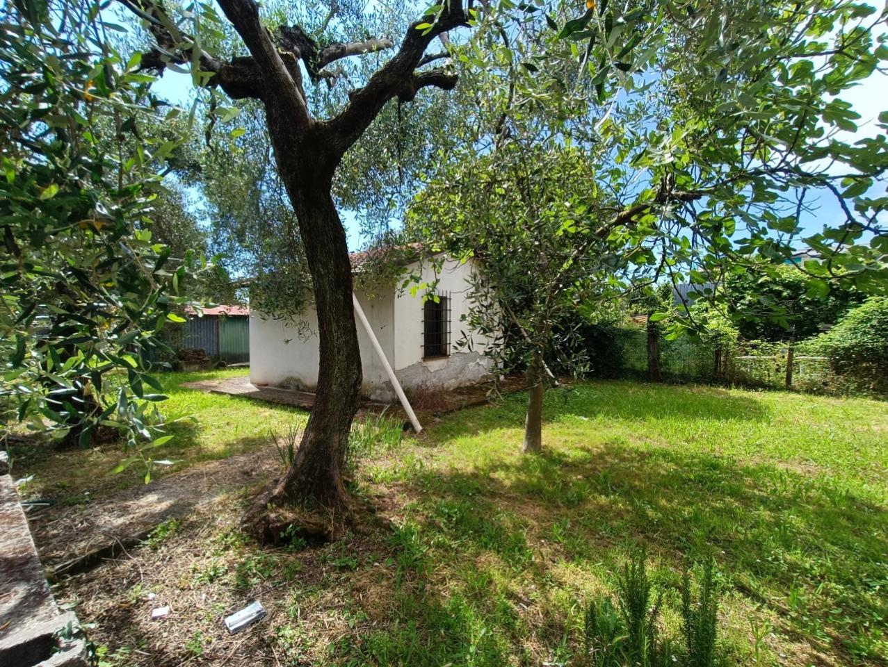 immagine annuncio 2 di 8