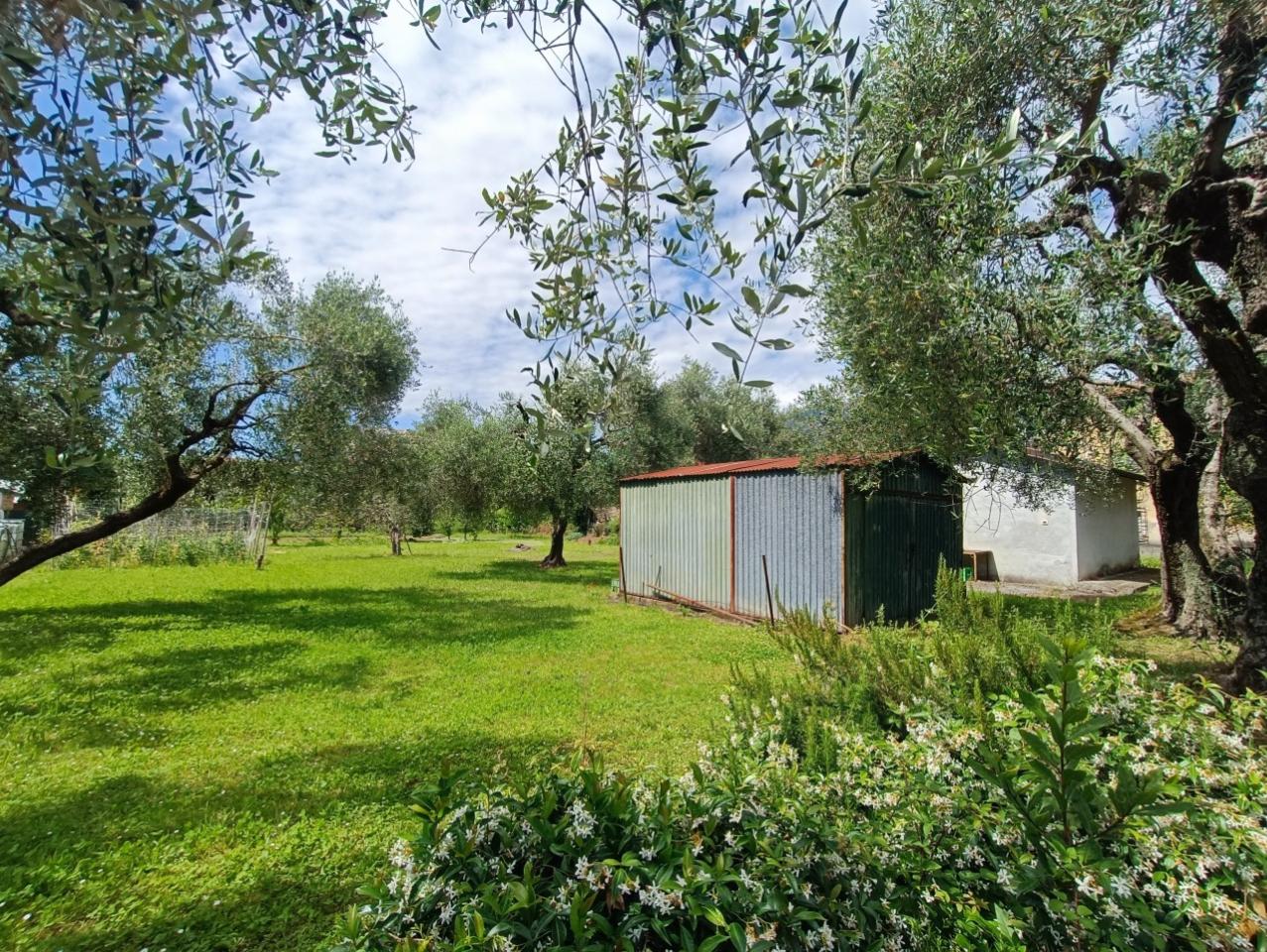 immagine annuncio 4 di 8