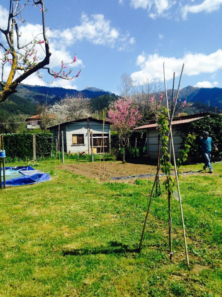 immagine annuncio 12 di 14
