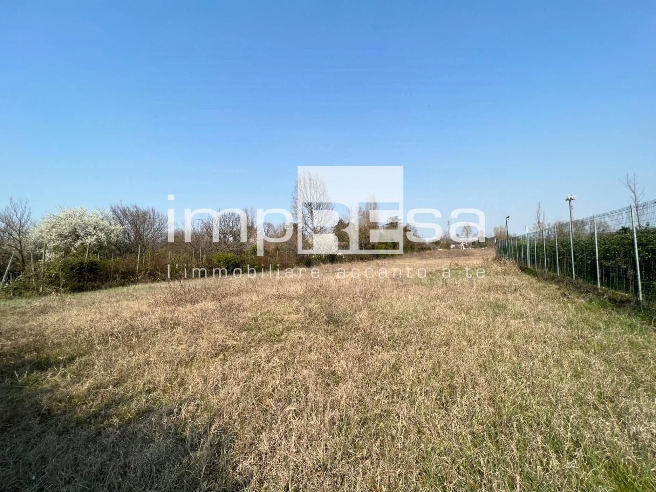 immagine annuncio 12 di 14