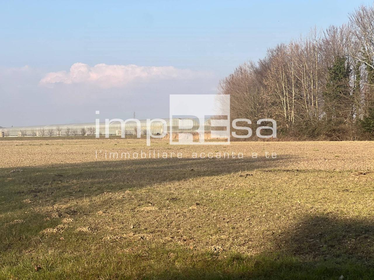 immagine annuncio 4 di 11