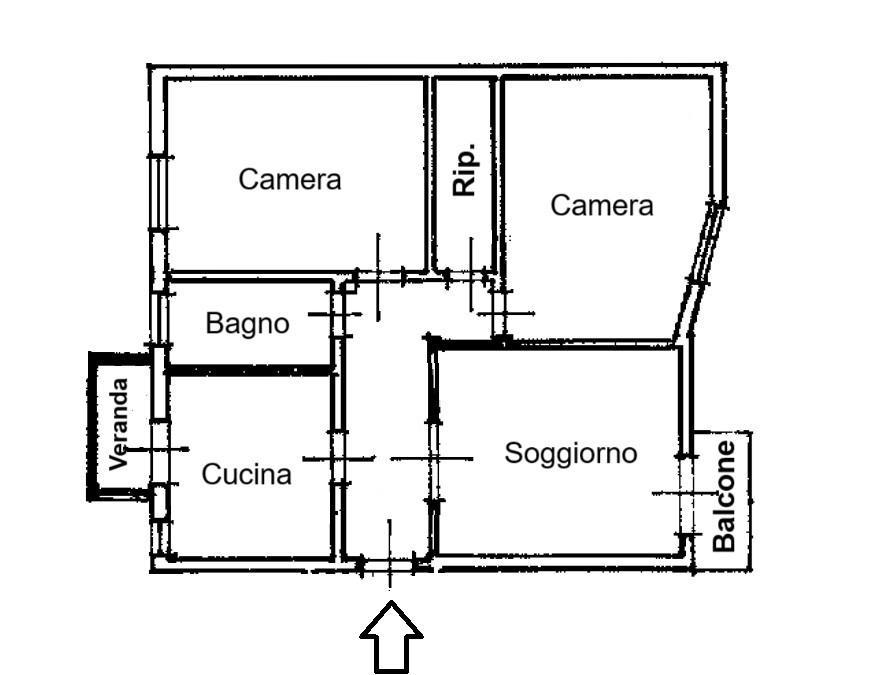 immagine annuncio 6 di 15