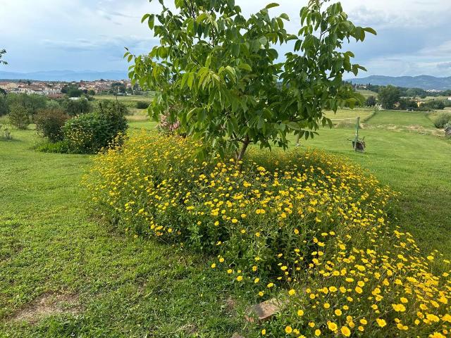 Villa bifamiliare, Cerreto Guidi - Foto 1