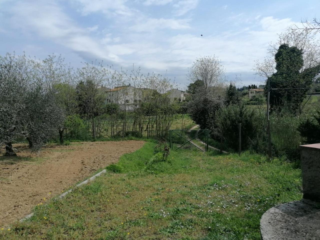 immagine annuncio 8 di 14