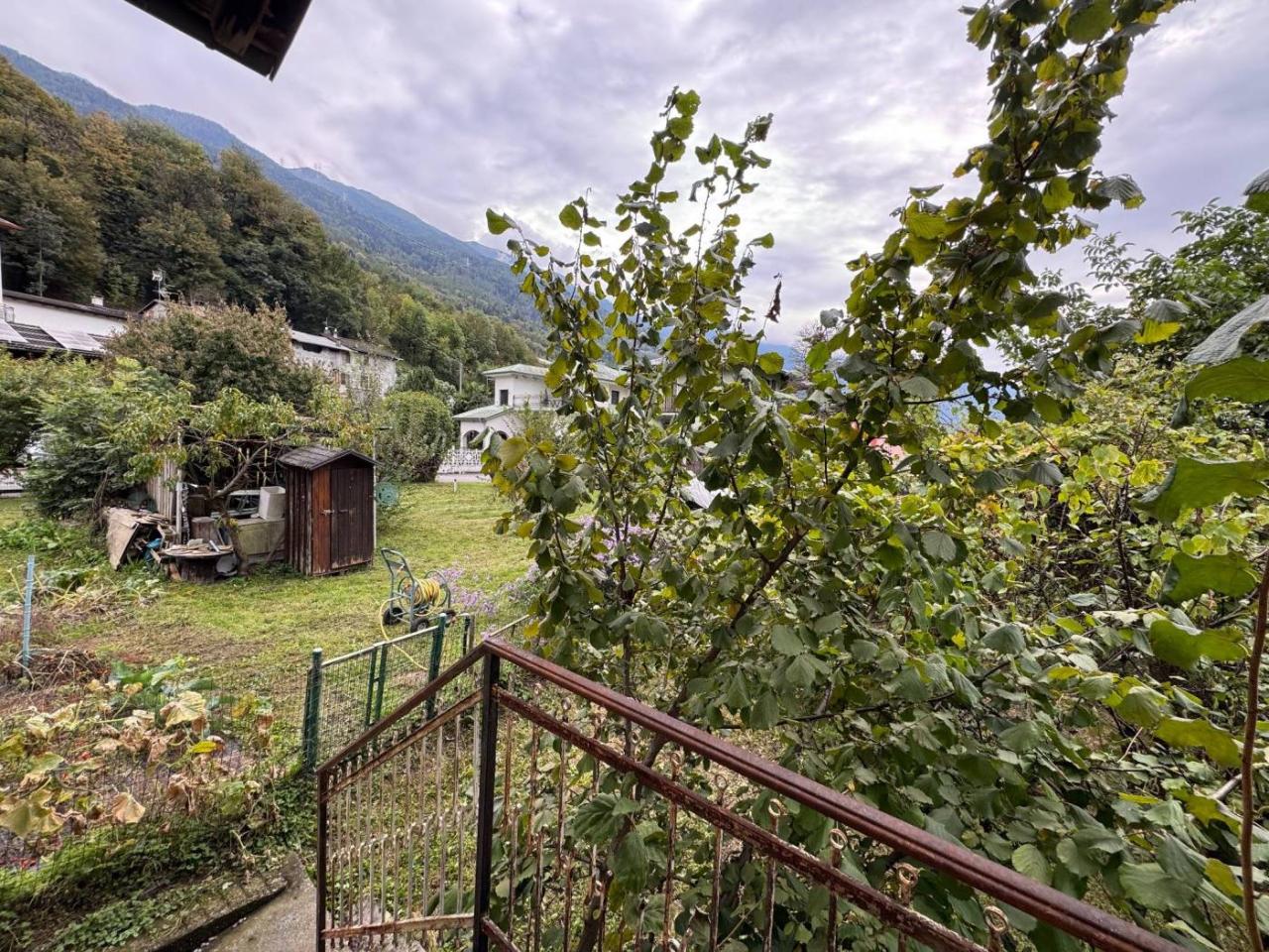 immagine annuncio 10 di 15