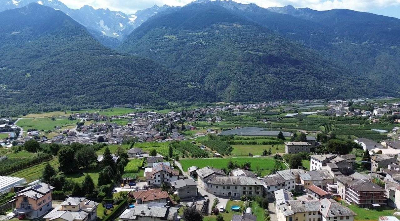 immagine annuncio 10 di 12