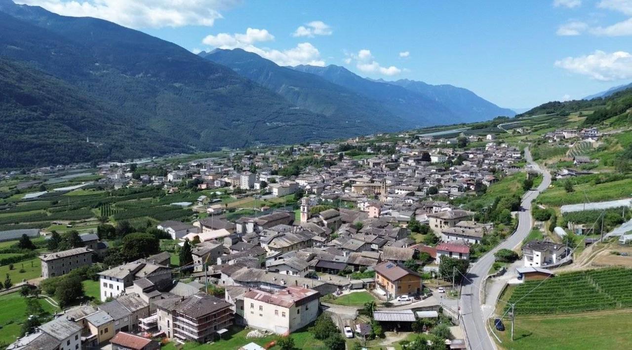 immagine annuncio 11 di 12