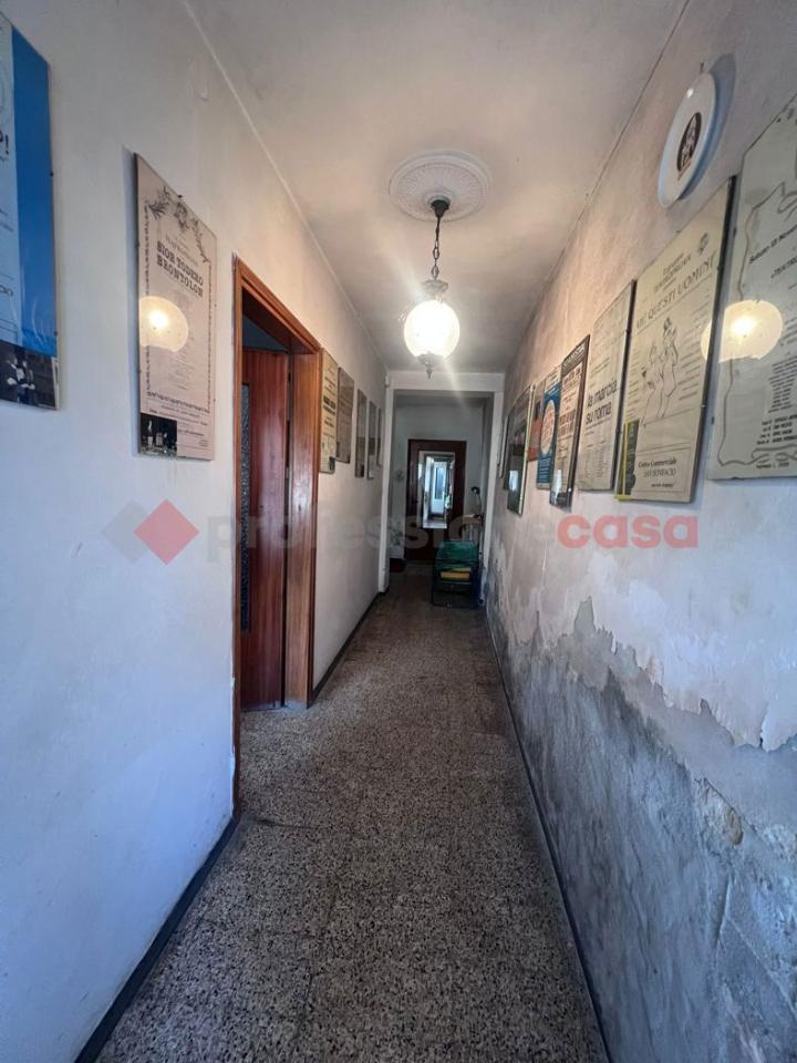 immagine annuncio 3 di 14