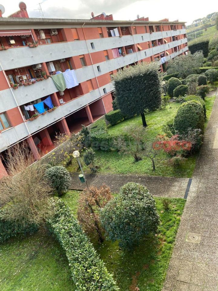 immagine annuncio 6 di 14