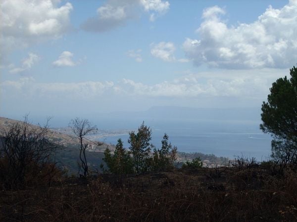 terreno agricolo in vendita a Messina in zona Larderia