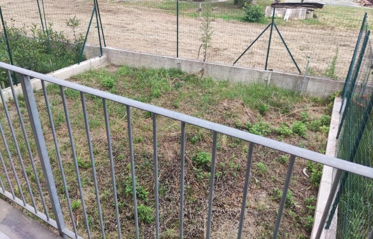 immagine annuncio 5 di 12