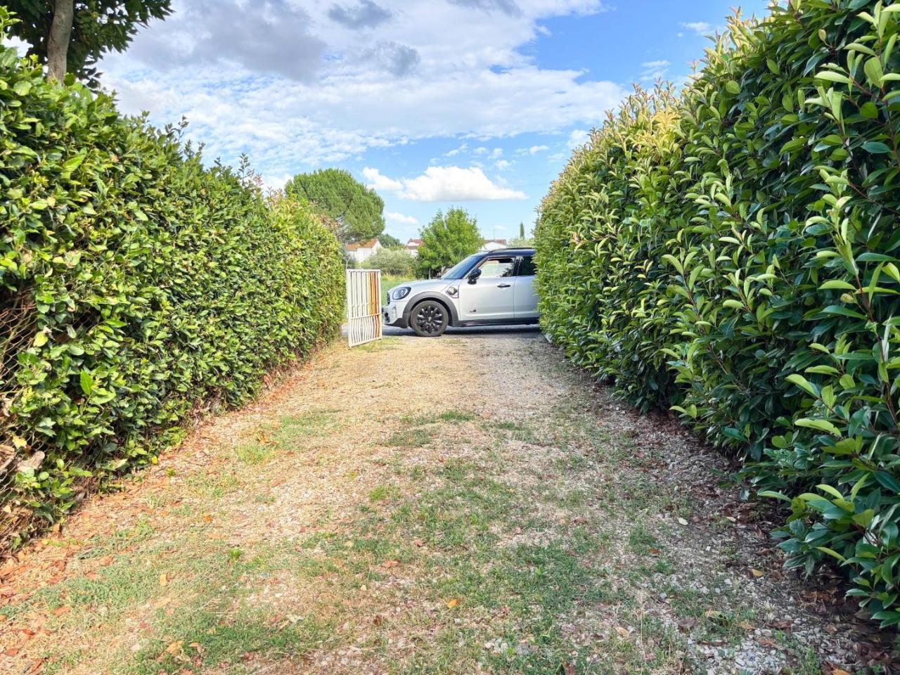 immagine annuncio 1 di 14