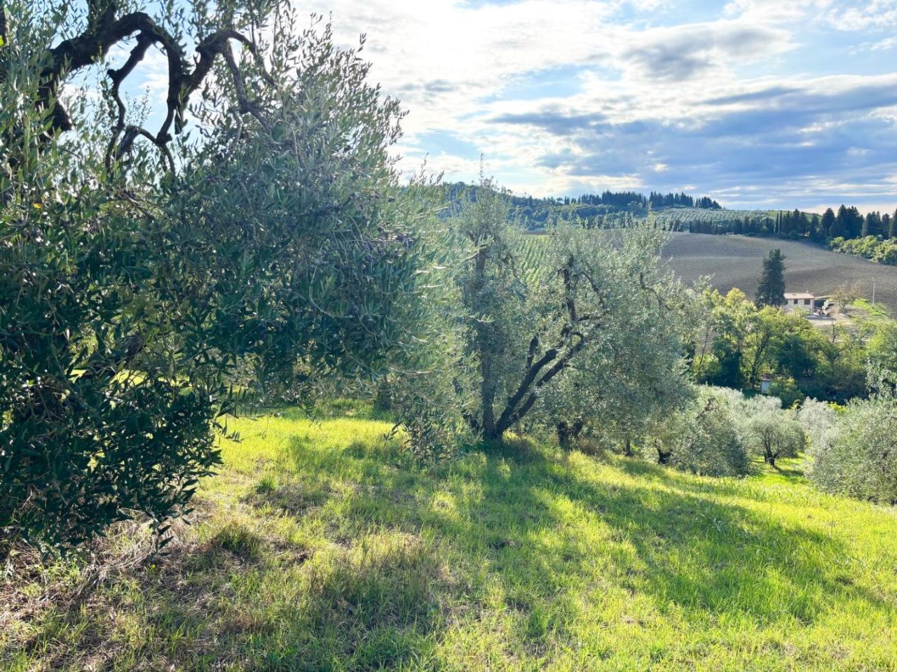 immagine annuncio 1 di 6