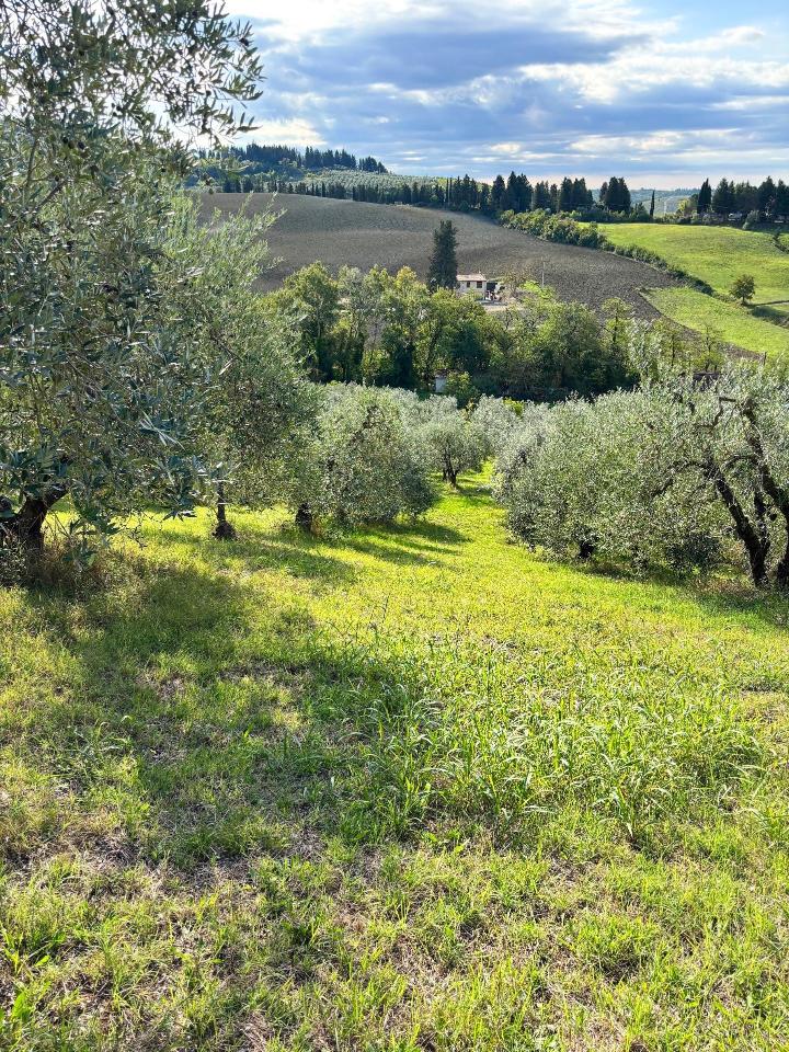 immagine annuncio 4 di 6