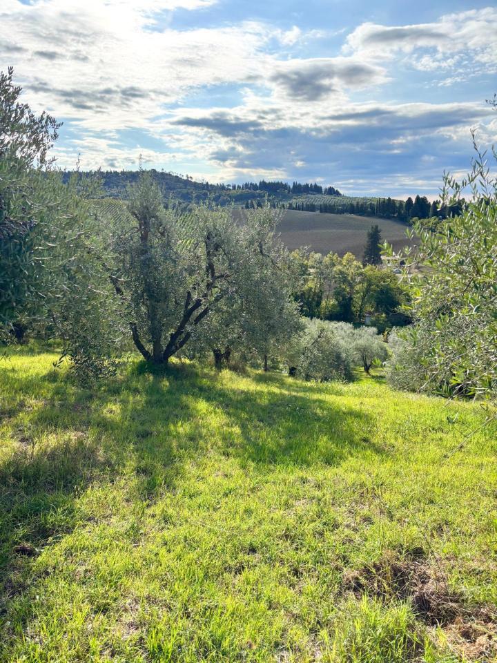 immagine annuncio 3 di 6