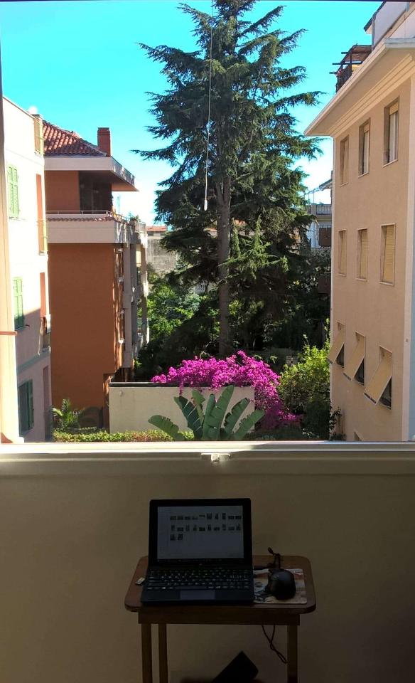 immagine annuncio 1 di 11