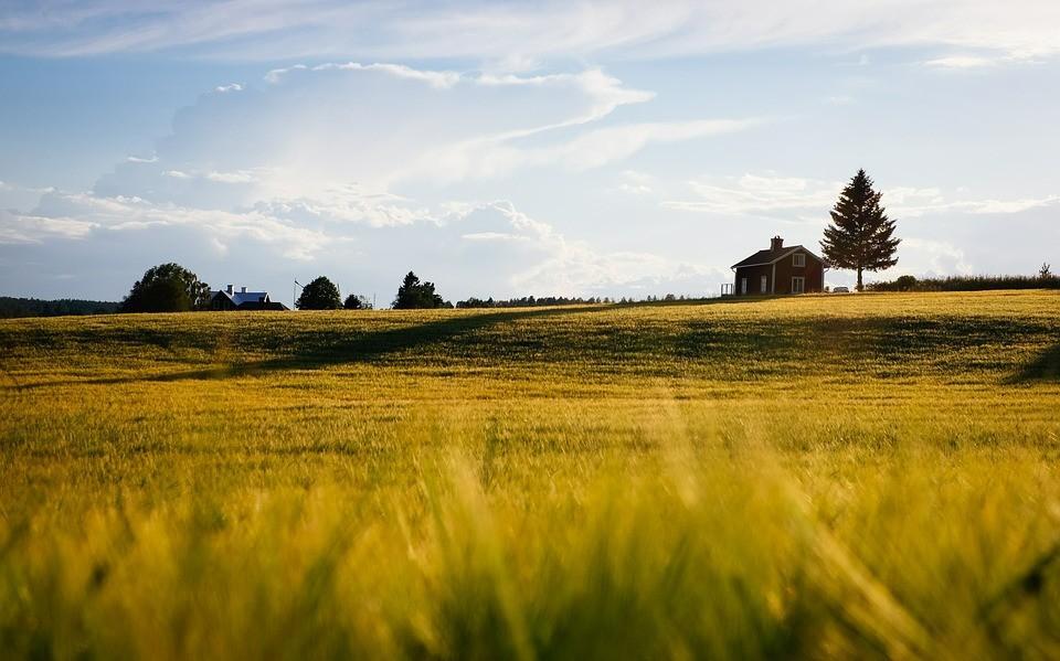 Terreno agricolo in vendita a Cerreto Guidi