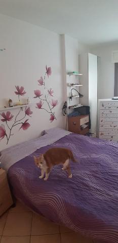 3-room flat, Calci - Photo 1