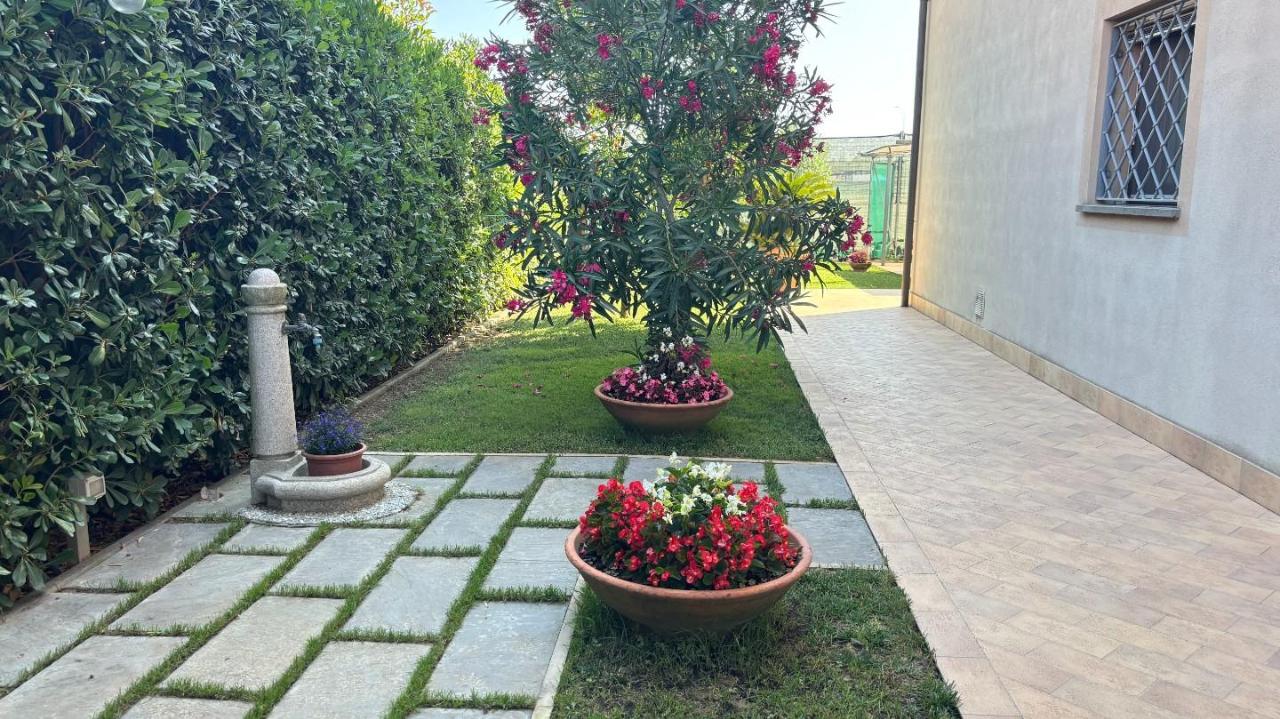 immagine annuncio 4 di 15