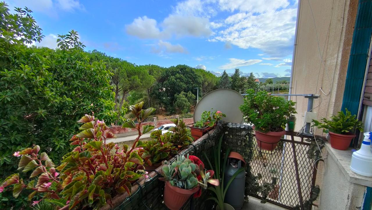 immagine annuncio 6 di 9