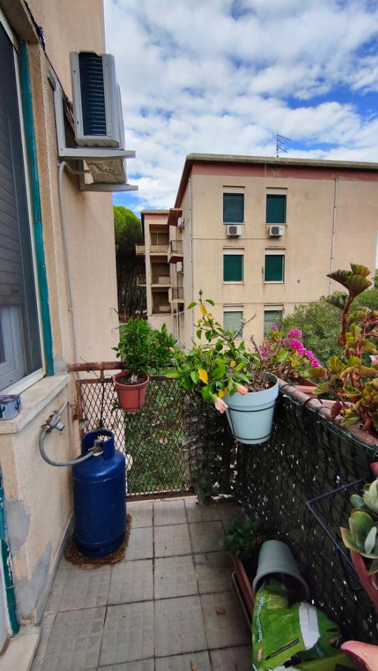 immagine annuncio 7 di 9