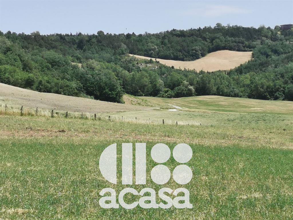 Azienda in , Mercato Saraceno, {3} - Foto 1