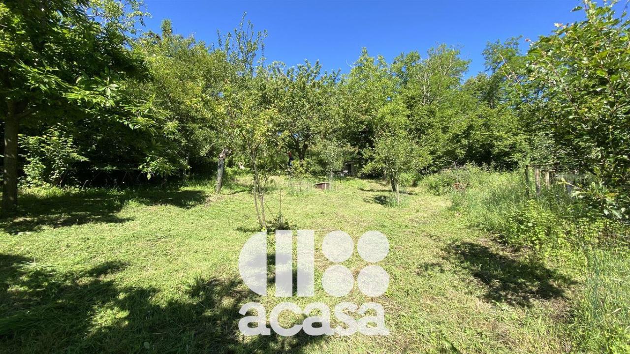 Azienda in , Mercato Saraceno, {3} - Foto 2