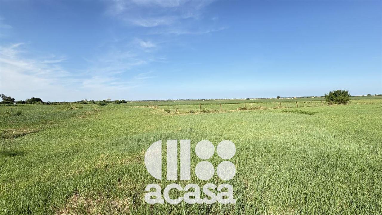 immagine annuncio 6 di 11