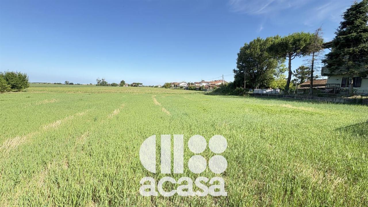 immagine annuncio 8 di 11