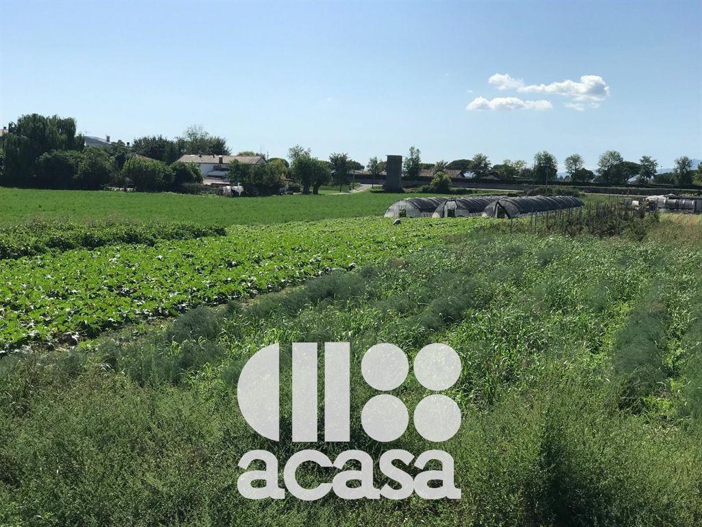 immagine annuncio 4 di 8