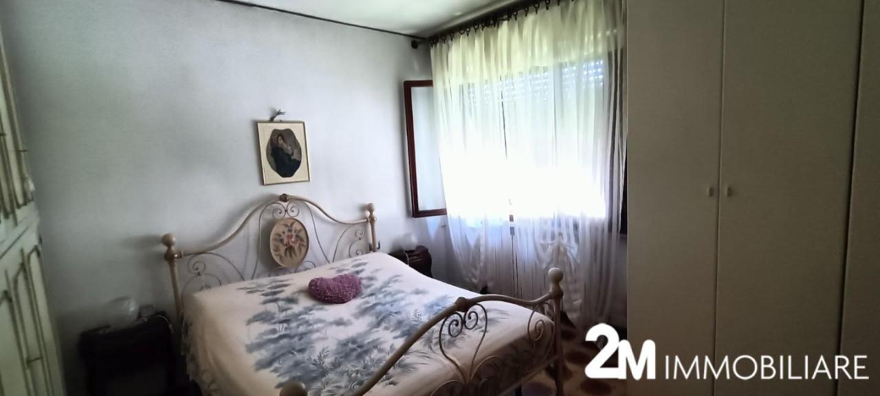 immagine annuncio 11 di 14
