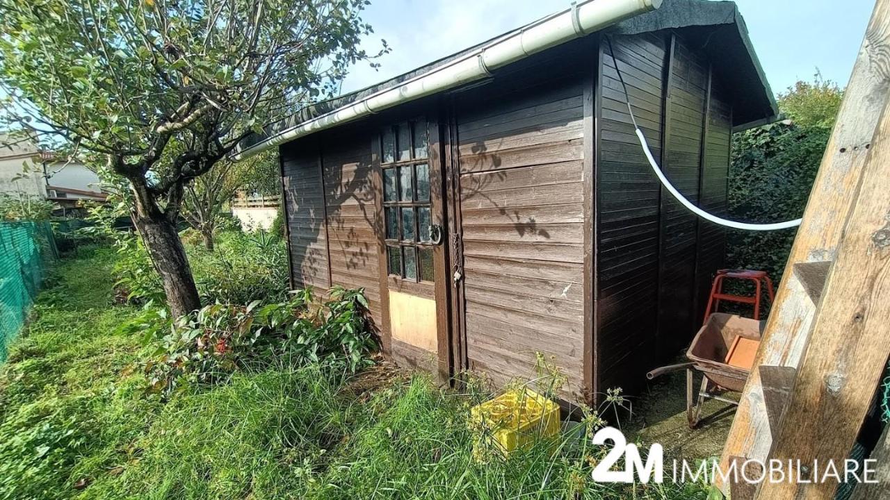 immagine annuncio 11 di 12