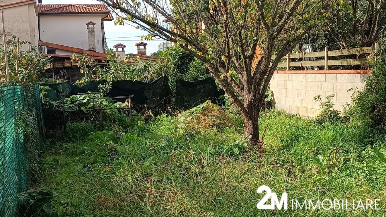 immagine annuncio 10 di 12