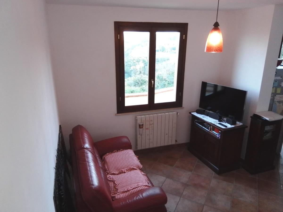 immagine annuncio 5 di 11