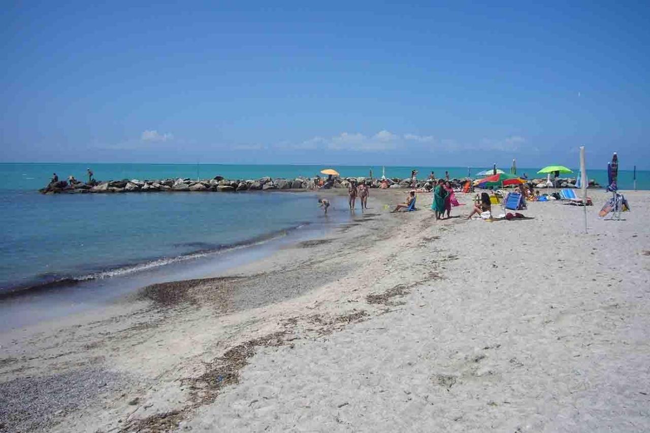 immagine annuncio 12 di 13