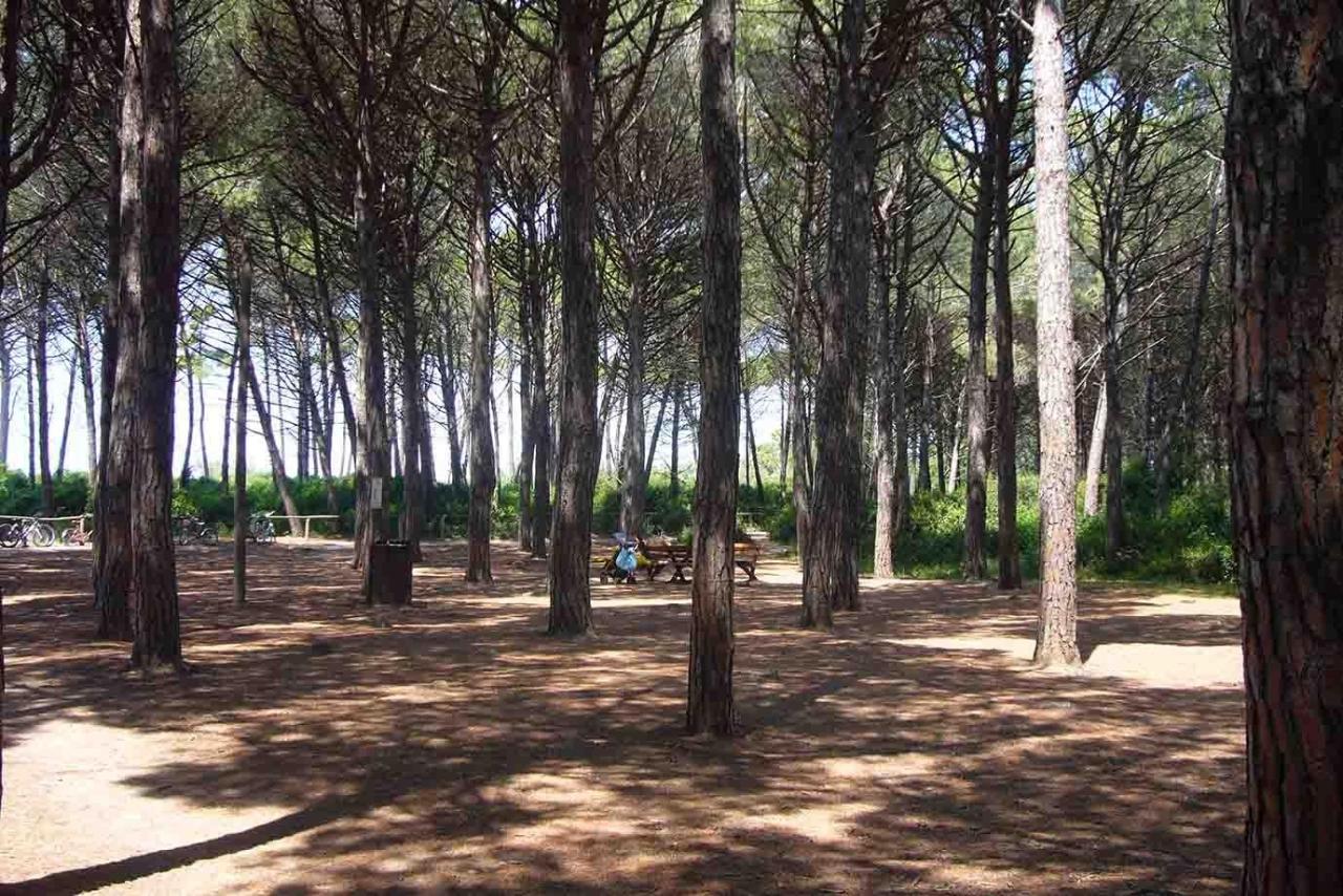 immagine annuncio 11 di 13