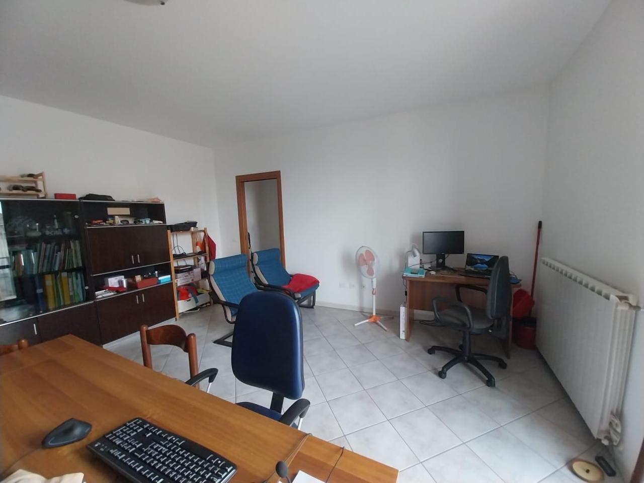 immagine annuncio 3 di 12
