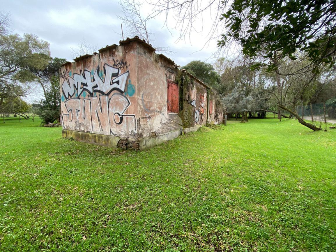 Casa indipendente in Via Appia Pignatelli 454, Roma - Foto 1