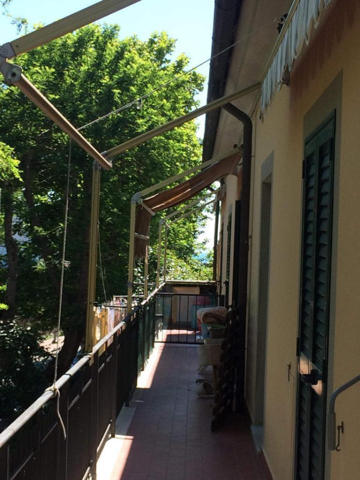 immagine annuncio 2 di 6