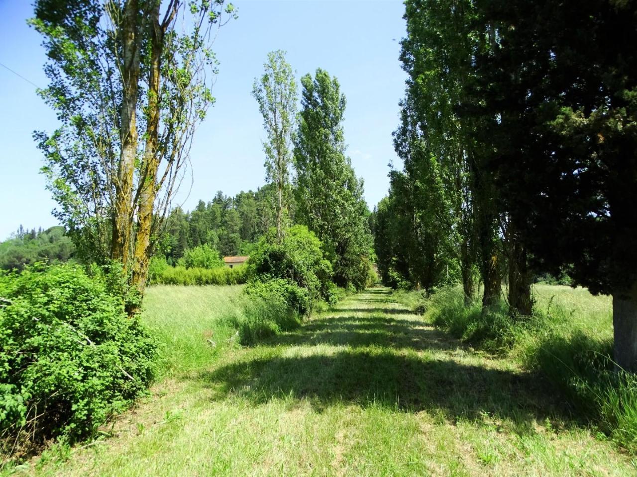 Azienda agricola in , San Miniato, {3} - Foto 2